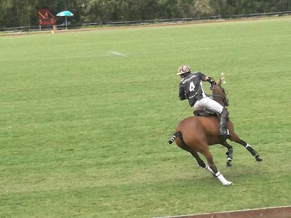 Fotografia tomada fuera de Campo de polo de Viladrau - Adventure sports center en Viladrau, Girona