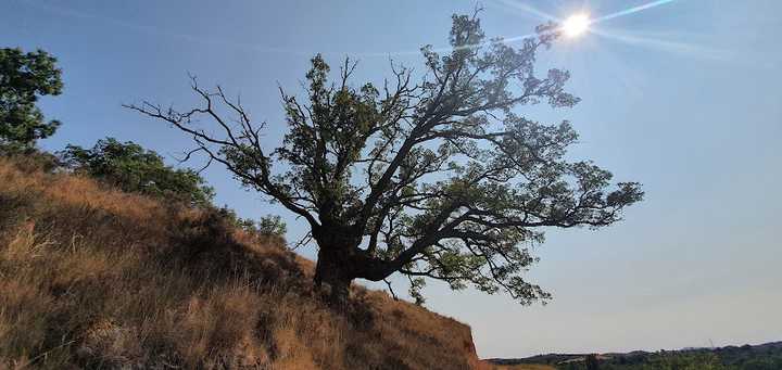 Fotografia tomada fuera de El Roble - Zona de senderismo en Poza de la Sal, Burgos